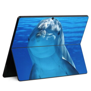 Surface Pro11(2024) / Pro10(for Business) / Pro9(2022) ���ʑΉ� �w�� �ی� �f�U�C�� �X�L���V�[�� Pro8/ProX �e��Ή� 023228 �C���J ���� �ʐ^