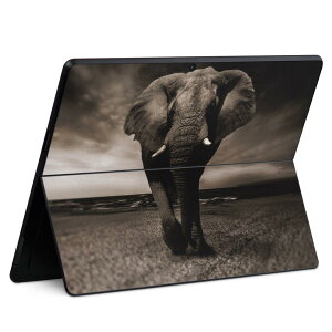 Surface Pro11(2024) / Pro10(for Business) / Pro9(2022) ʑΉ w ی fUC XLV[ Pro8/ProX eΉ 023246 ]E  Aj}