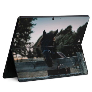 Surface Pro11(2024) / Pro10(for Business) / Pro9(2022) ʑΉ w ی fUC XLV[ Pro8/ProX eΉ 023442 n  ʐ^