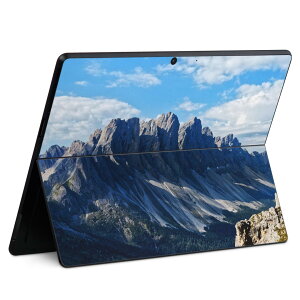 Surface Pro11(2024) / Pro10(for Business) / Pro9(2022) ���ʑΉ� �w�� �ی� �f�U�C�� �X�L���V�[�� Pro8/ProX �e��Ή� 023935 �R �i�F �ʐ^