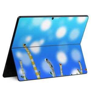 Surface Pro11(2024) / Pro10(for Business) / Pro9(2022) ���ʑΉ� �w�� �ی� �f�U�C�� �X�L���V�[�� Pro8/ProX �e��Ή� 025640 �`���A�i�S �C ������