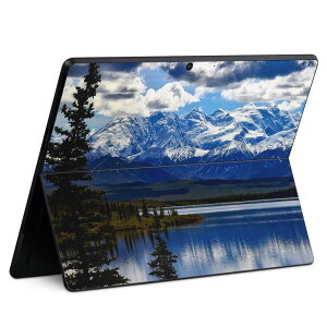 Surface Pro11(2024) / Pro10(for Business) / Pro9(2022) ���ʑΉ� �w�� �ی� �f�U�C�� �X�L���V�[�� Pro8/ProX �e��Ή� 025721 �i�F �_ �R ��