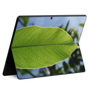 Surface Pro11(2024) / Pro10(for Business) / Pro9(2022) ���ʑΉ� �w�� �ی� �f�U�C�� �X�L���V�[�� Pro8/ProX �e��Ή� 025900 �A�� �t ��
