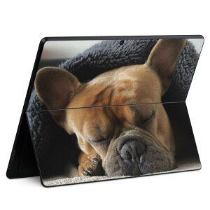 Surface Pro11(2024) / Pro10(for Business) / Pro9(2022) ���ʑΉ� �w�� �ی� �f�U�C�� �X�L���V�[�� Pro8/ProX �e��Ή� 025947 ���� �� �t�����`�u���h�b�O