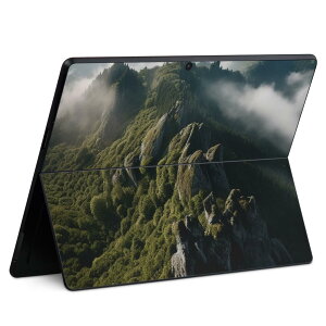 Surface Pro11(2024) / Pro10(for Business) / Pro9(2022) ���ʑΉ� �w�� �ی� �f�U�C�� �X�L���V�[�� Pro8/ProX �e��Ή� 033559 �R �i�F