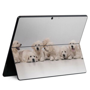 Surface Pro11(2024) / Pro10(for Business) / Pro9(2022) ���ʑΉ� �w�� �ی� �f�U�C�� �X�L���V�[�� Pro8/ProX �e��Ή� 033580 ���� ��