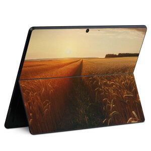 Surface Pro11(2024) / Pro10(for Business) / Pro9(2022) ʑΉ w ی fUC XLV[ Pro8/ProX eΉ 033680  gt