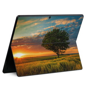 Surface Pro11(2024) / Pro10(for Business) / Pro9(2022) ʑΉ w ی fUC XLV[ Pro8/ProX eΉ 033859  