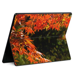 Surface Pro11(2024) / Pro10(for Business) / Pro9(2022) ���ʑΉ� �w�� �ی� �f�U�C�� �X�L���V�[�� Pro8/ProX �e��Ή� 004615 �g�t �H ���i