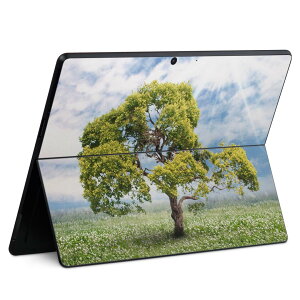 Surface Pro11(2024) / Pro10(for Business) / Pro9(2022) ʑΉ w ی fUC XLV[ Pro8/ProX eΉ 004647   ʐ^