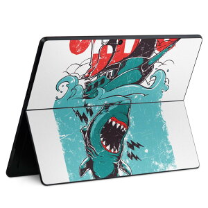 Surface Pro11(2024) / Pro10(for Business) / Pro9(2022) ���ʑΉ� �w�� �ی� �f�U�C�� �X�L���V�[�� Pro8/ProX �e��Ή� 005372 �T�� JAWS �C���X�g