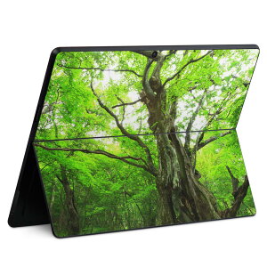 Surface Pro11(2024) / Pro10(for Business) / Pro9(2022) ʑΉ w ی fUC XLV[ Pro8/ProX eΉ 005452 ʐ^ X A
