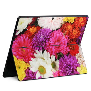 Surface Pro11(2024) / Pro10(for Business) / Pro9(2022) ���ʑΉ� �w�� �ی� �f�U�C�� �X�L���V�[�� Pro8/ProX �e��Ή� 005495 �ʐ^ ��