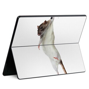Surface Pro11(2024) / Pro10(for Business) / Pro9(2022) ���ʑΉ� �w�� �ی� �f�U�C�� �X�L���V�[�� Pro8/ProX �e��Ή� 005911 �ʐ^ ���� �˂���