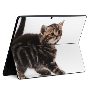 Surface Pro11(2024) / Pro10(for Business) / Pro9(2022) ���ʑΉ� �w�� �ی� �f�U�C�� �X�L���V�[�� Pro8/ProX �e��Ή� 005930 �ʐ^ ���� �L �˂�