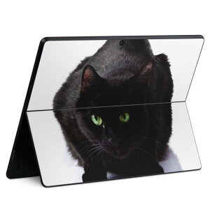 Surface Pro11(2024) / Pro10(for Business) / Pro9(2022) ʑΉ w ی fUC XLV[ Pro8/ProX eΉ 005958 ʐ^  ˂ L