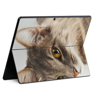 Surface Pro11(2024) / Pro10(for Business) / Pro9(2022) ʑΉ w ی fUC XLV[ Pro8/ProX eΉ 006477 ʐ^  ˂
