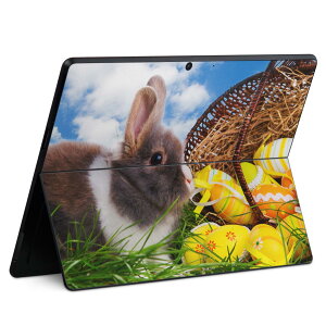 Surface Pro11(2024) / Pro10(for Business) / Pro9(2022) ʑΉ w ی fUC XLV[ Pro8/ProX eΉ 006581 ʐ^  