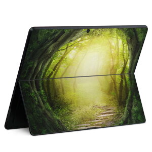 Surface Pro11(2024) / Pro10(for Business) / Pro9(2022) ���ʑΉ� �w�� �ی� �f�U�C�� �X�L���V�[�� Pro8/ProX �e��Ή� 007948 �X ���i �C���X�g �� �O���[�� �A��