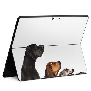 Surface Pro11(2024) / Pro10(for Business) / Pro9(2022) ʑΉ w ی fUC XLV[ Pro8/ProX eΉ 008190 ʐ^    zCg