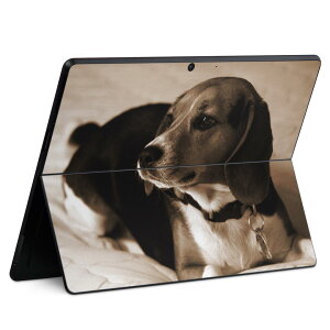 Surface Pro11(2024) / Pro10(for Business) / Pro9(2022) ʑΉ w ی fUC XLV[ Pro8/ProX eΉ 008194 ʐ^ ZsA 