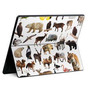 Surface Pro11(2024) / Pro10(for Business) / Pro9(2022) ʑΉ w ی fUC XLV[ Pro8/ProX eΉ 008864 ʐ^  Lcl 