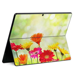 Surface Pro11(2024) / Pro10(for Business) / Pro9(2022) ���ʑΉ� �w�� �ی� �f�U�C�� �X�L���V�[�� Pro8/ProX �e��Ή� 008881 �J���t�� �ʐ^ ��