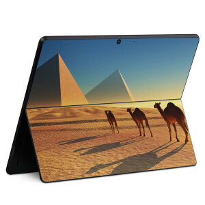 Surface Pro11(2024) / Pro10(for Business) / Pro9(2022) ���ʑΉ� �w�� �ی� �f�U�C�� �X�L���V�[�� Pro8/ProX �e��Ή� 010934 �炭�� ���� �s���~�b�h
