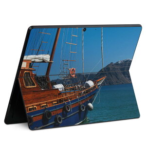 Surface Pro11(2024) / Pro10(for Business) / Pro9(2022) ���ʑΉ� �w�� �ی� �f�U�C�� �X�L���V�[�� Pro8/ProX �e��Ή� 011098 �C �D ��