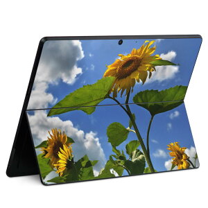 Surface Pro11(2024) / Pro10(for Business) / Pro9(2022) ʑΉ w ی fUC XLV[ Pro8/ProX eΉ 011366  Ђ܂ ʐ^