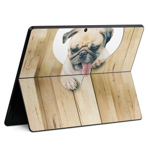 Surface Pro11(2024) / Pro10(for Business) / Pro9(2022) ʑΉ w ی fUC XLV[ Pro8/ProX eΉ 013529  pO n[g