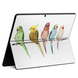 Surface Pro11(2024) / Pro10(for Business) / Pro9(2022) ���ʑΉ� �w�� �ی� �f�U�C�� �X�L���V�[�� Pro8/ProX �e��Ή� 014042 �� �C���R �A�j�}��