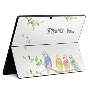 Surface Pro11(2024) / Pro10(for Business) / Pro9(2022) ���ʑΉ� �w�� �ی� �f�U�C�� �X�L���V�[�� Pro8/ProX �e��Ή� 014278 �� �p�� �J���t��