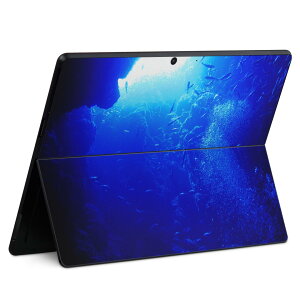 Surface Pro11(2024) / Pro10(for Business) / Pro9(2022) ���ʑΉ� �w�� �ی� �f�U�C�� �X�L���V�[�� Pro8/ProX �e��Ή� 014468 �C �[�C �ʐ^