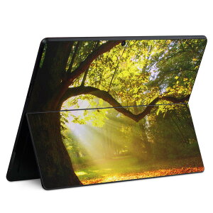 Surface Pro11(2024) / Pro10(for Business) / Pro9(2022) ʑΉ w ی fUC XLV[ Pro8/ProX eΉ 014991 iF R i ʐ^  