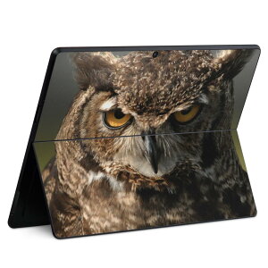 Surface Pro11(2024) / Pro10(for Business) / Pro9(2022) ʑΉ w ی fUC XLV[ Pro8/ProX eΉ 016308 tNE ʐ^
