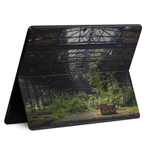 Surface Pro11(2024) / Pro10(for Business) / Pro9(2022) ���ʑΉ� �w�� �ی� �f�U�C�� �X�L���V�[�� Pro8/ProX �e��Ή� 018341 �ʐ^ ���i