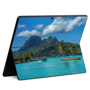 Surface Pro11(2024) / Pro10(for Business) / Pro9(2022) ���ʑΉ� �w�� �ی� �f�U�C�� �X�L���V�[�� Pro8/ProX �e��Ή� 018342 �C �R �ʐ^ ��