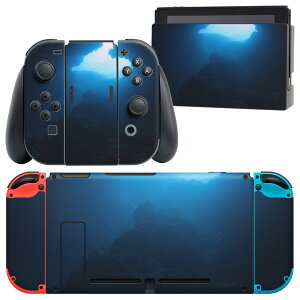 igsticker Nintendo Switch p fUCXLV[ CV jeh[ XCb` p {̃hbN Joy-Con Joycon WCR p Q[@ Jo[ ANZT[ tB XebJ[ 000068 n[g@