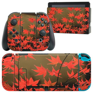 igsticker Nintendo Switch �p �f�U�C���X�L���V�[�� �C�V�� �j���e���h�[ �X�C�b�` ��p �{�̃h�b�N Joy-Con Joycon �W���C�R�� ��p �Q�[���@ �J�o�[ �A�N�Z�T���[ �t�B���� �X�e�b�J�[ 000139 �H�@����
