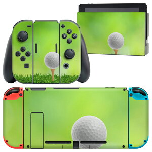 igsticker Nintendo Switch p fUCXLV[ CV jeh[ XCb` p {̃hbN Joy-Con Joycon WCR p Q[@ Jo[ ANZT[ tB XebJ[ 000218 St@