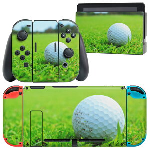 igsticker Nintendo Switch p fUCXLV[ CV jeh[ XCb` p {̃hbN Joy-Con Joycon WCR p Q[@ Jo[ ANZT[ tB XebJ[ 000255 St@