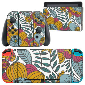 igsticker Nintendo Switch p fUCXLV[ CV jeh[ XCb` p {̃hbN Joy-Con Joycon WCR p Q[@ Jo[ ANZT[ tB XebJ[ 000730 ԁ@[