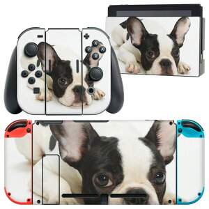 igsticker Nintendo Switch p fUCXLV[ CV jeh[ XCb` p {̃hbN Joy-Con Joycon WCR p Q[@ Jo[ ANZT[ tB XebJ[ 000889 @t