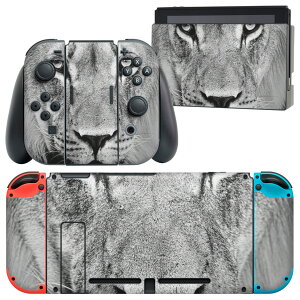 igsticker Nintendo Switch p fUCXLV[ CV jeh[ XCb` p {̃hbN Joy-Con Joycon WCR p Q[@ Jo[ ANZT[ tB XebJ[ 001051 CI