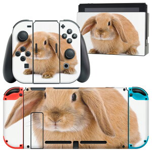 igsticker Nintendo Switch p fUCXLV[ CV jeh[ XCb` p {̃hbN Joy-Con Joycon WCR p Q[@ Jo[ ANZT[ tB XebJ[ 001112 @