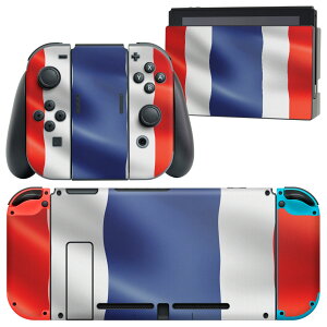 igsticker Nintendo Switch p fUCXLV[ CV jeh[ XCb` p {̃hbN Joy-Con Joycon WCR p Q[@ Jo[ ANZT[ tB XebJ[ 001195 ^C@