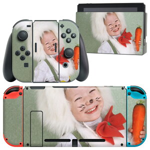 igsticker Nintendo Switch p fUCXLV[ CV jeh[ XCb` p {̃hbN Joy-Con Joycon WCR p Q[@ Jo[ ANZT[ tB XebJ[ 001247 @