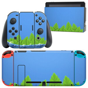 igsticker Nintendo Switch p fUCXLV[ CV jeh[ XCb` p {̃hbN Joy-Con Joycon WCR p Q[@ Jo[ ANZT[ tB XebJ[ 001387 @