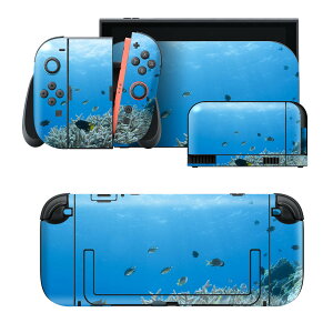 igsticker Nintendo Switch 2 �p �X�L���V�[�� �{�́E�h�b�N�EJoy-Con 2 �Ή� 4�ʃZ�b�g �������� �ی� �C�@���@���R�@�T���S 000060